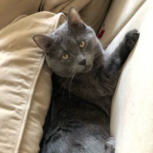 Meet your Posher, Brett